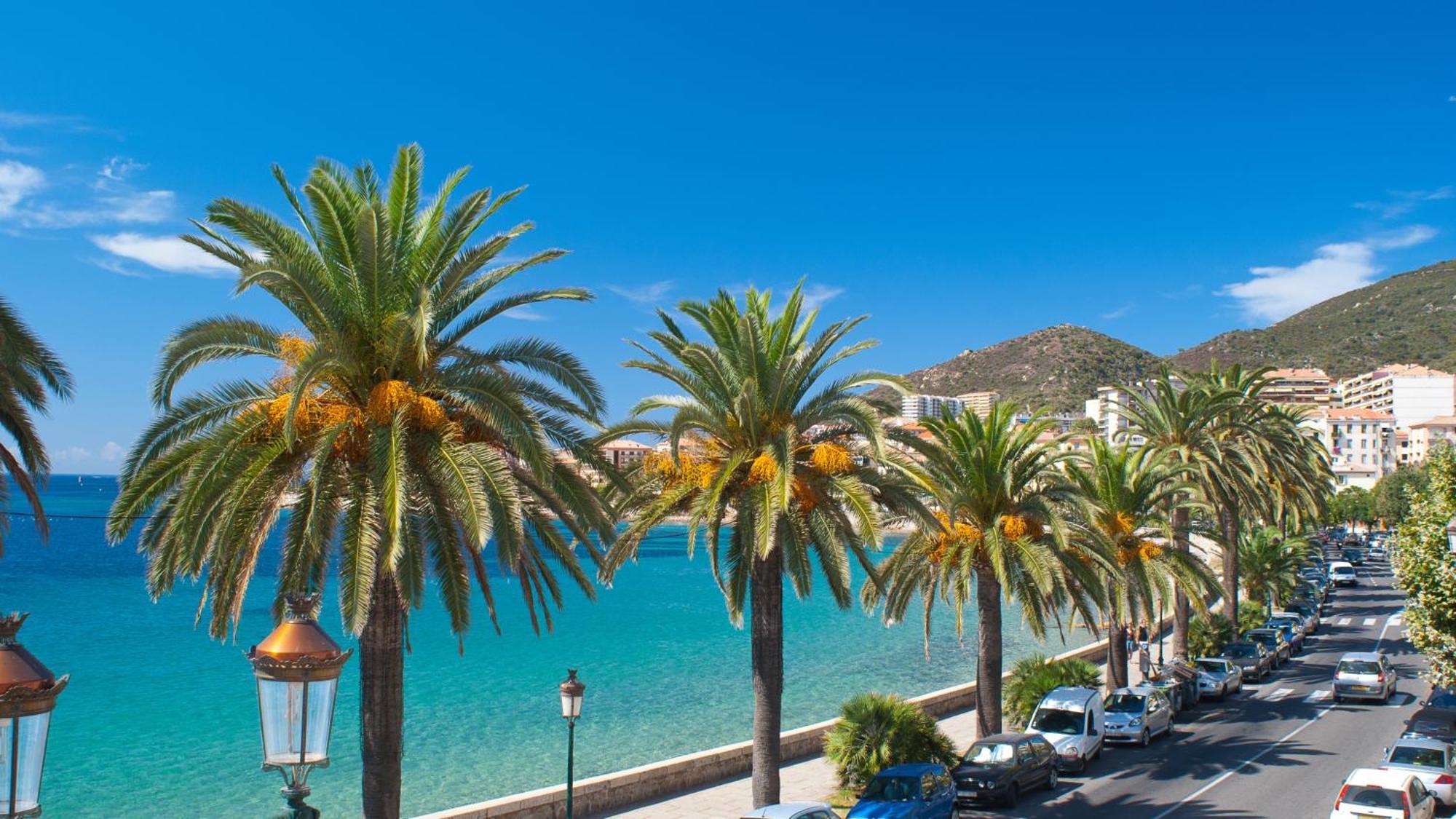 Evasion Corse - T2 Vue Mer, Piscine & Plage Αζάτσιο Εξωτερικό φωτογραφία