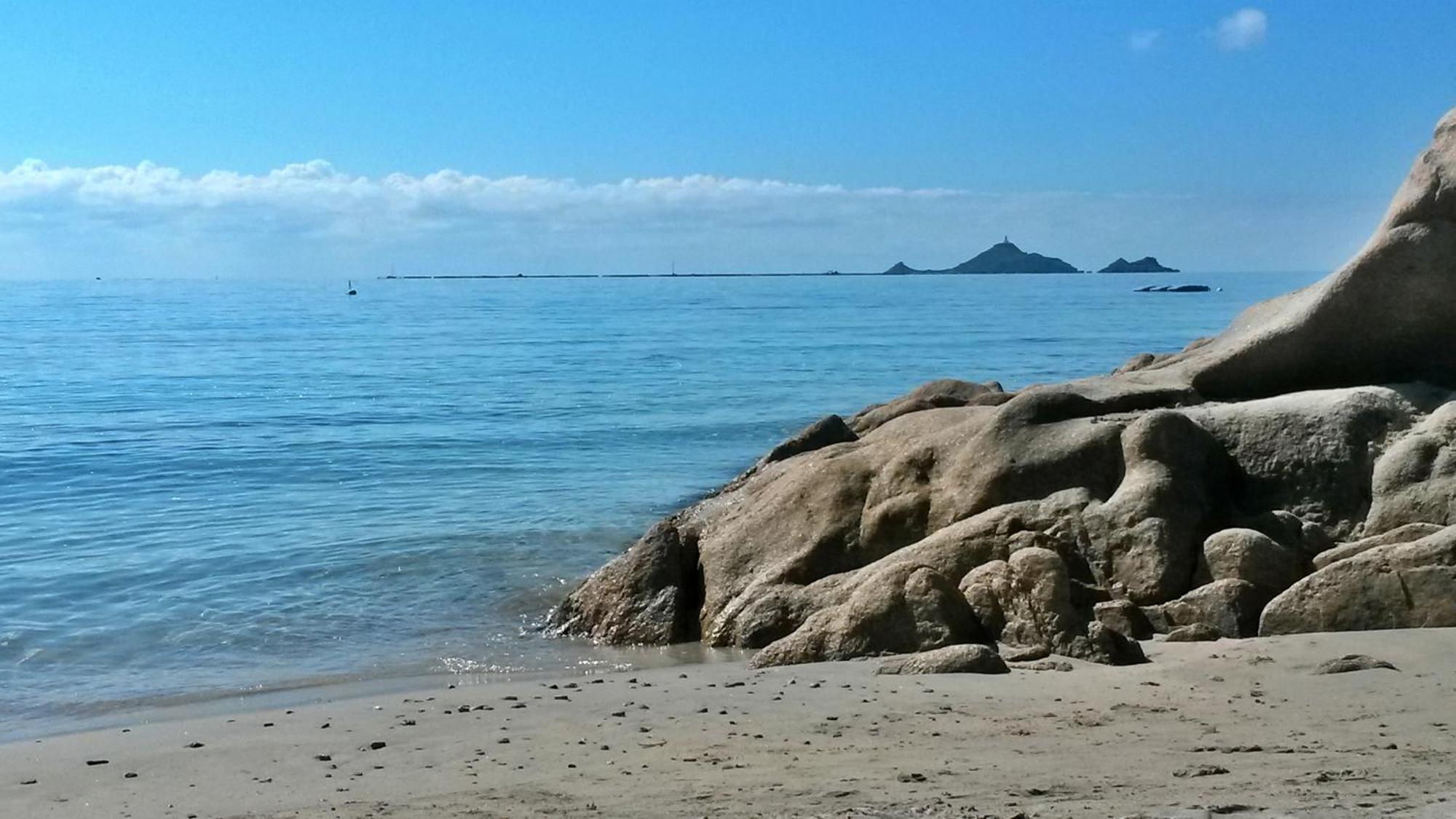 Evasion Corse - T2 Vue Mer, Piscine & Plage Αζάτσιο Εξωτερικό φωτογραφία
