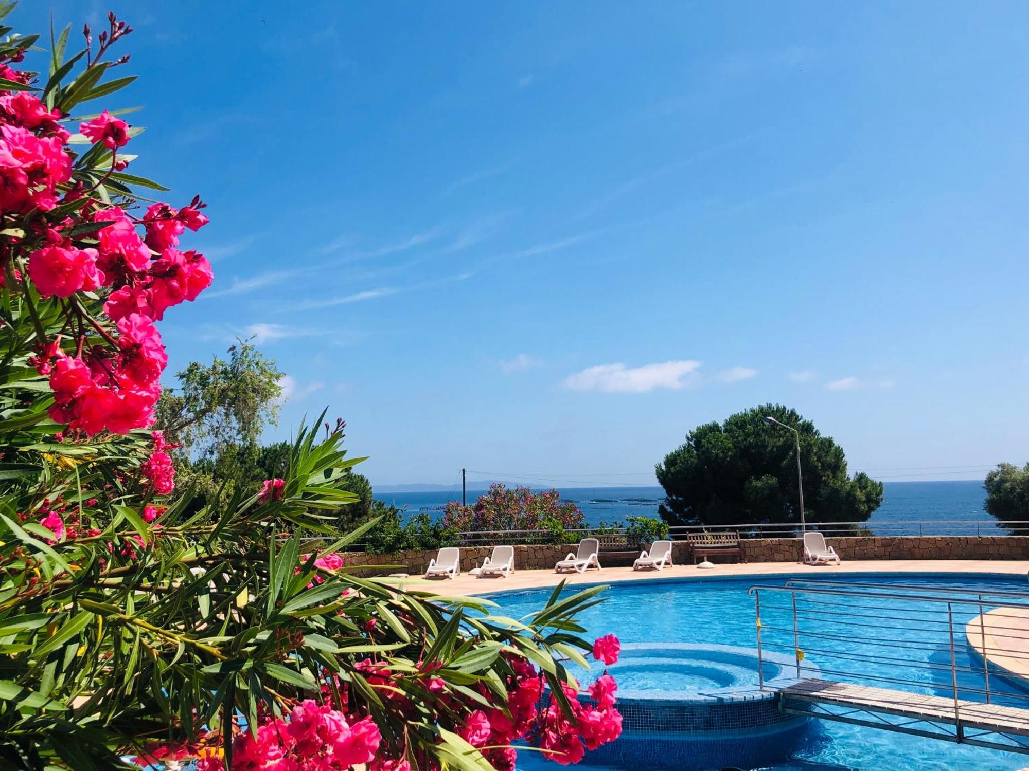 Evasion Corse - T2 Vue Mer, Piscine & Plage Αζάτσιο Εξωτερικό φωτογραφία