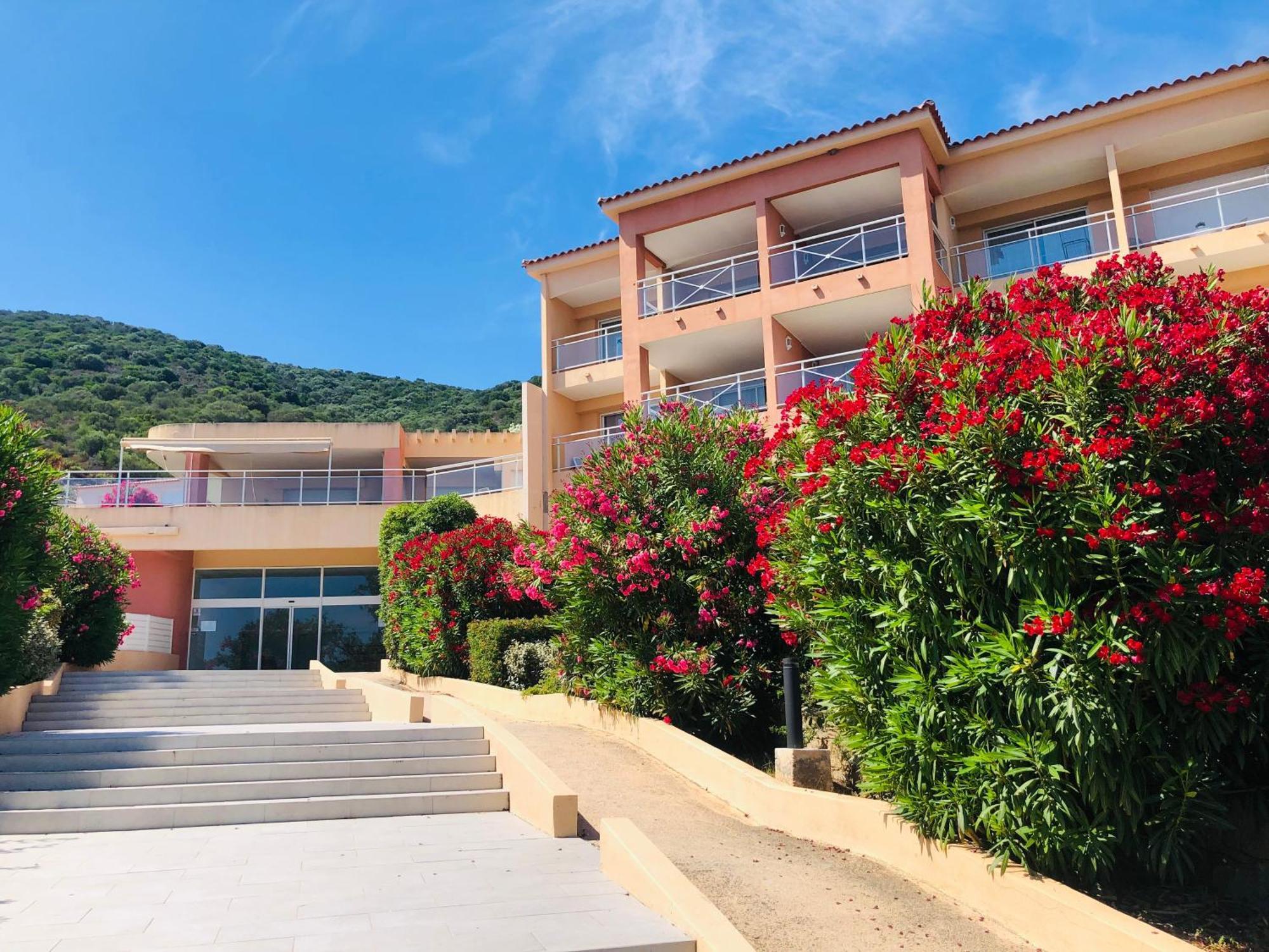 Evasion Corse - T2 Vue Mer, Piscine & Plage Αζάτσιο Εξωτερικό φωτογραφία